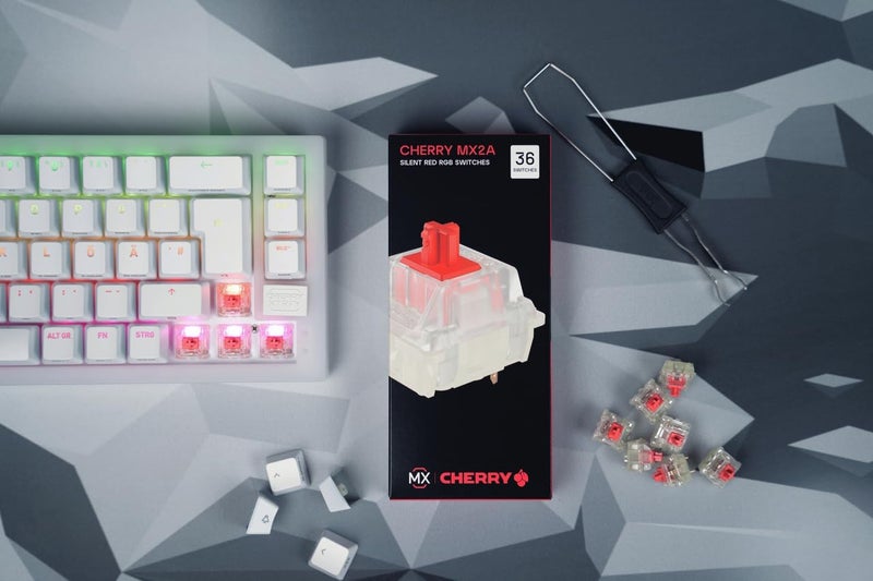 Cherry MX RGB Switch Kit | 10 Mechanical Keyboard Switches | DIY, Hot Swap or Gaming Keyboard | Experience Kit Color Samples MX2A (MX2A Color Sample) - Image 5